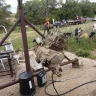 sasksodbuster